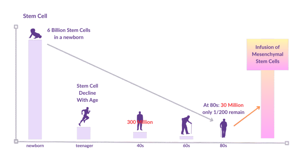 MSC Diagram
